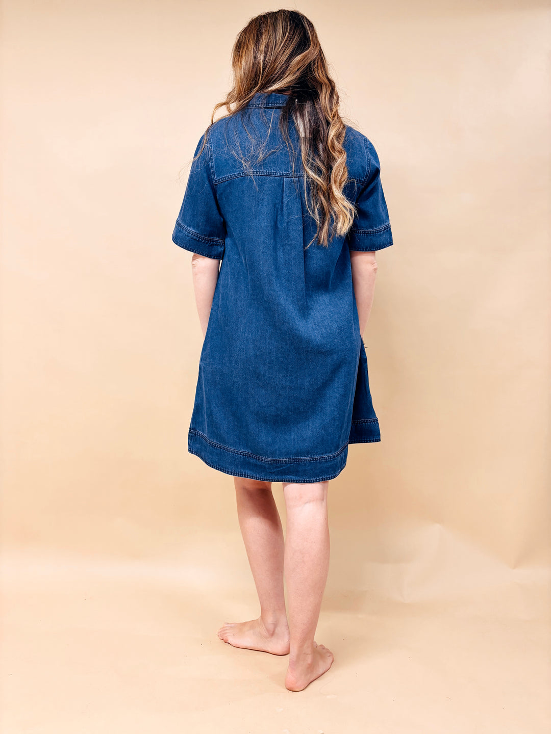 Candace Lyocell Denim Short Sleeve A-Line Dress