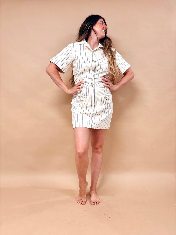 Evann Striped Denim Skirt
