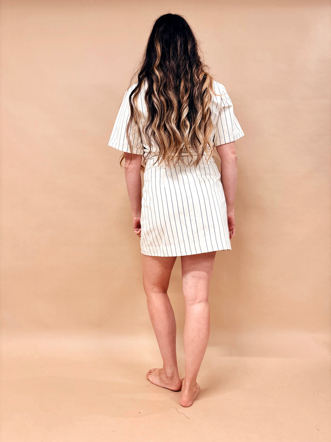 Evann Striped Denim Skirt