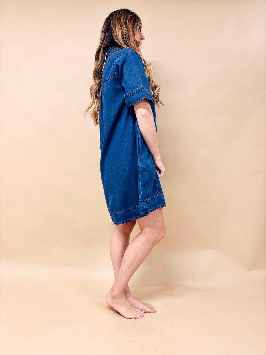 Candace Lyocell Denim Short Sleeve A-Line Dress